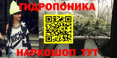 гидра Пенза
