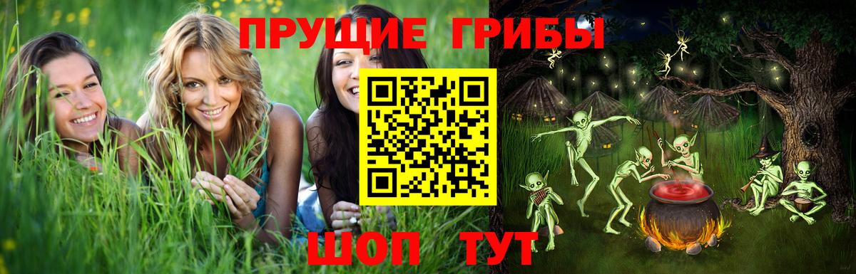 Галлюциногенные грибы Psilocybine cubensis  Вход с VPN  Псилоцибиновые грибы GOLDEN TEACHER  Полысаево 