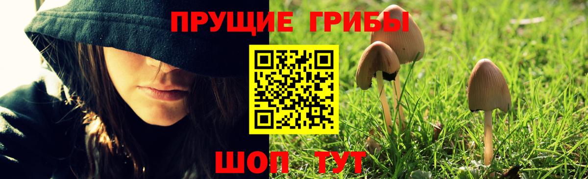 Галлюциногенные грибы GOLDEN TEACHER Полысаево
